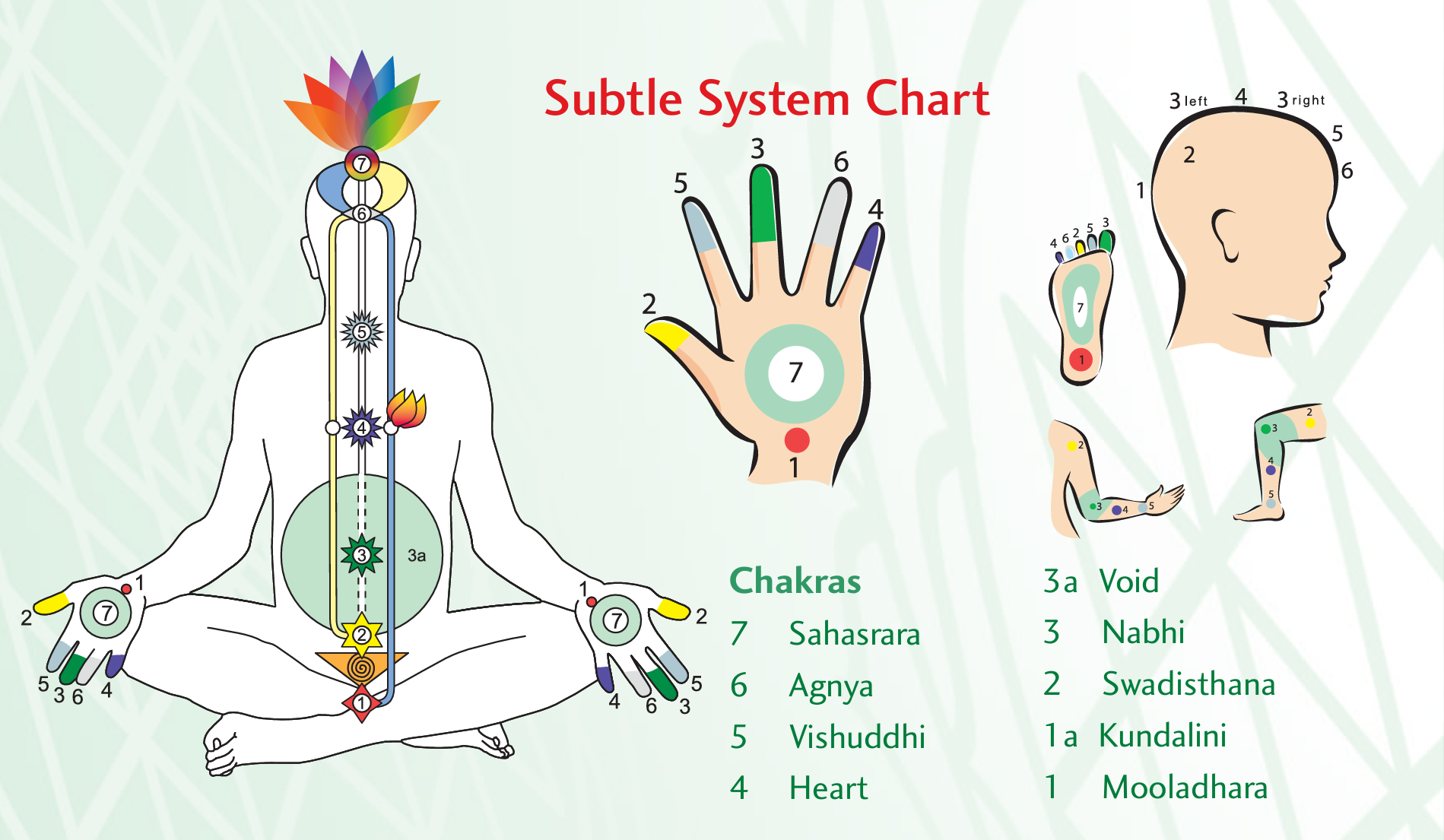Subtle system — upper chakras